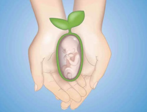تاثیر اعتیاد بر باروری